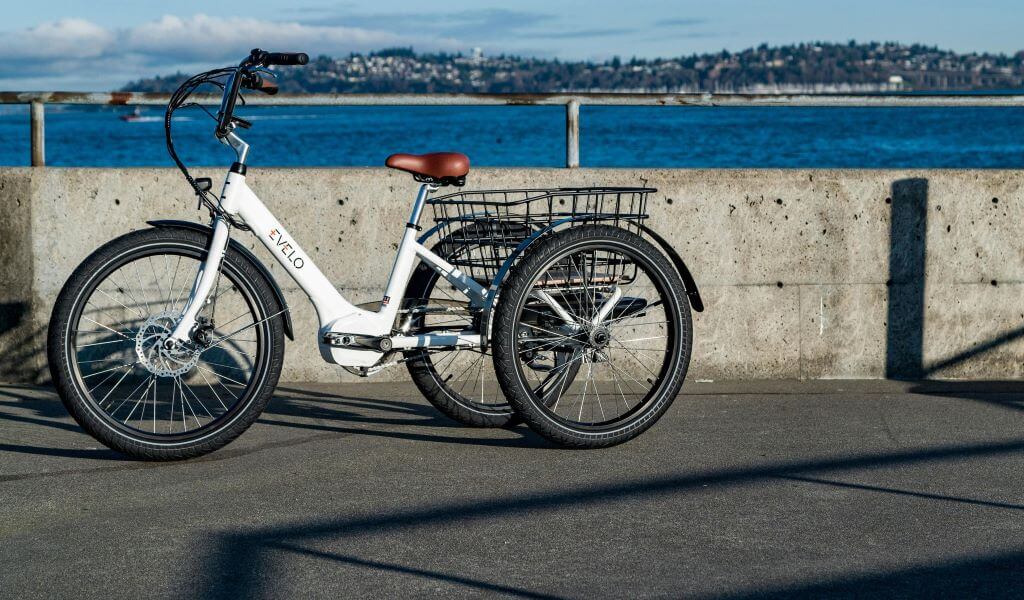 tricycle cargo ebike