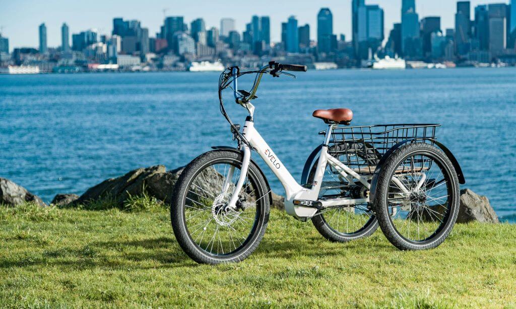 cargo ebike